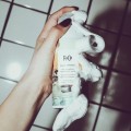 R+Co Palm Springs - maska pielęgnacyjna przed użyciem szamponu do włosów zniszczonych 164 ml2.jpg