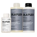Olaplex Curl Repair Set – zestaw regenerujący do włosów kręconych